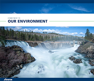 Our Environment image